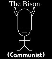 The Bison